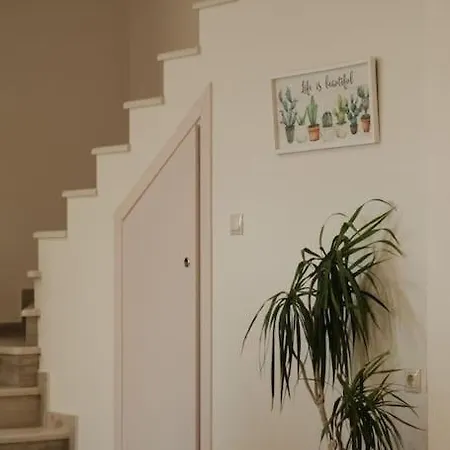 βιλα Fiore Avliotai